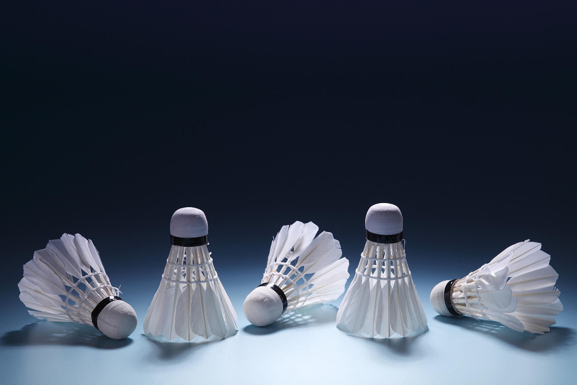 羽毛球在蓝色背景上的特写羽毛球在行