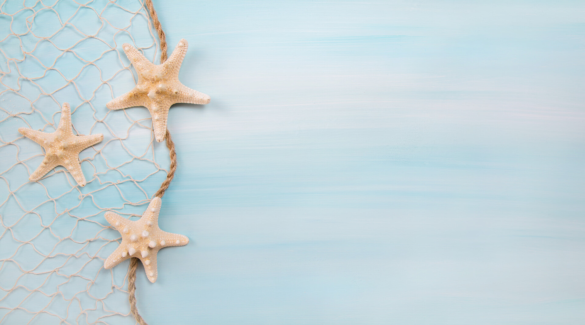 海星贝壳的装饰品蓝绿松石背景与海星或贝壳.