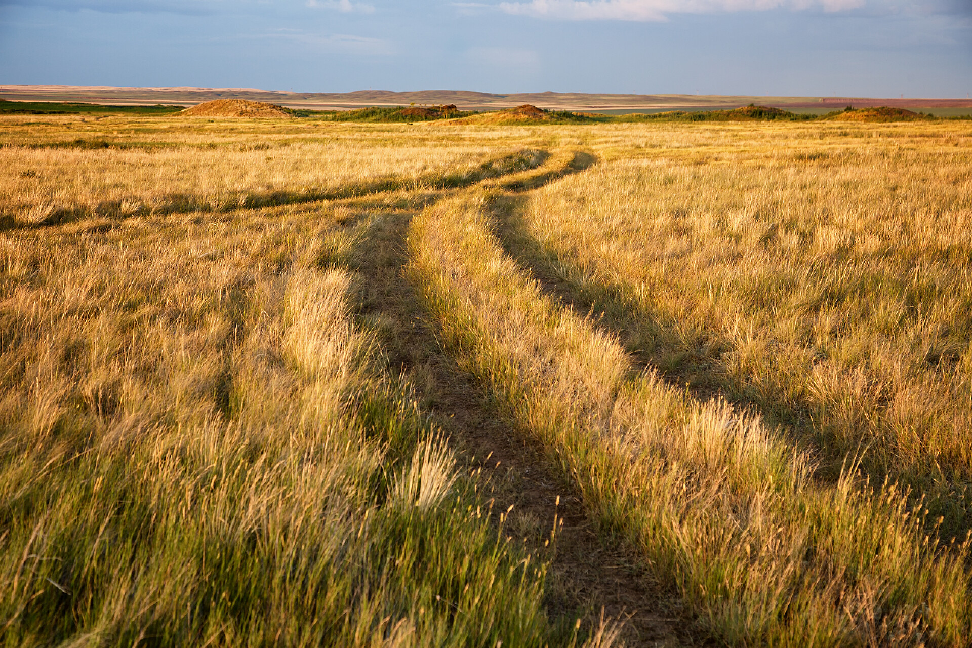 在哈萨克斯坦的大草原农村公路 