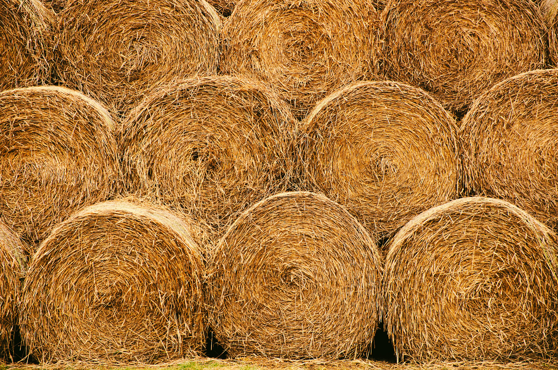 田野里整齐堆放着许多麦秸秆卷成的草堆稻草包纹理