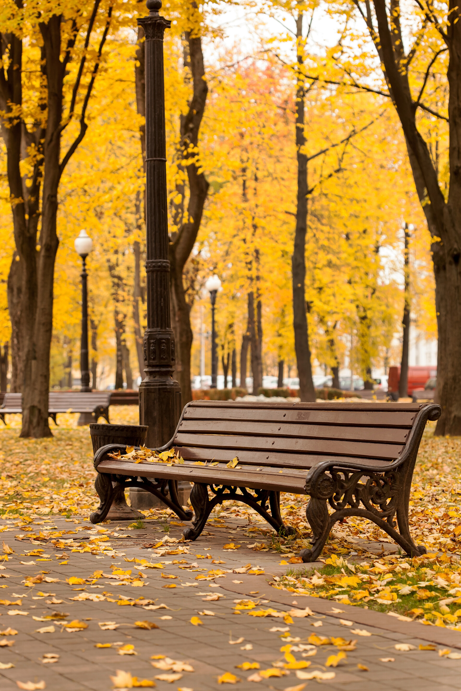 秋天公园里的长椅公园里的空长椅