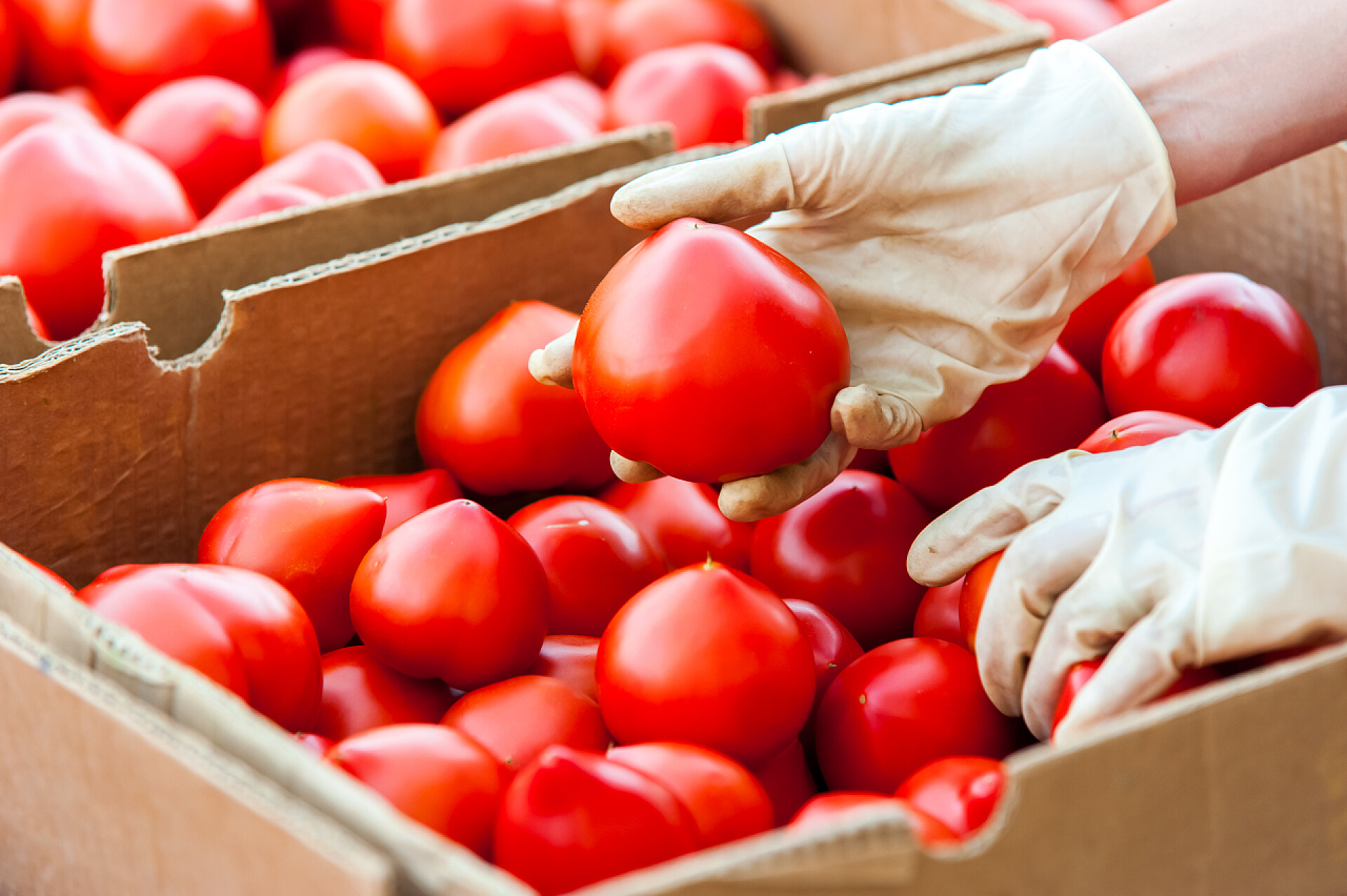 菜市场的西红柿箱子装满了西红柿