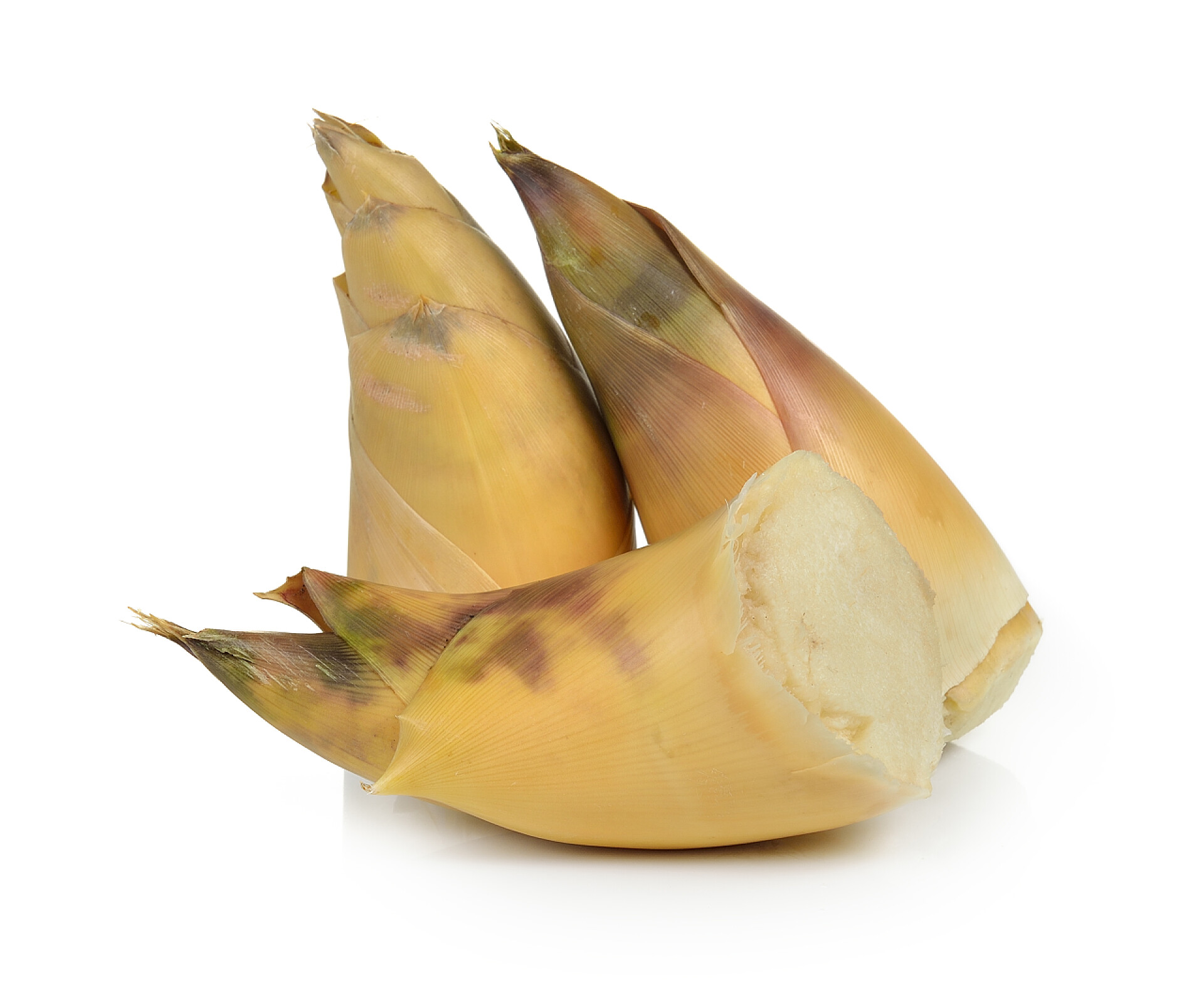 白色背景上的竹笋白色背景竹笋