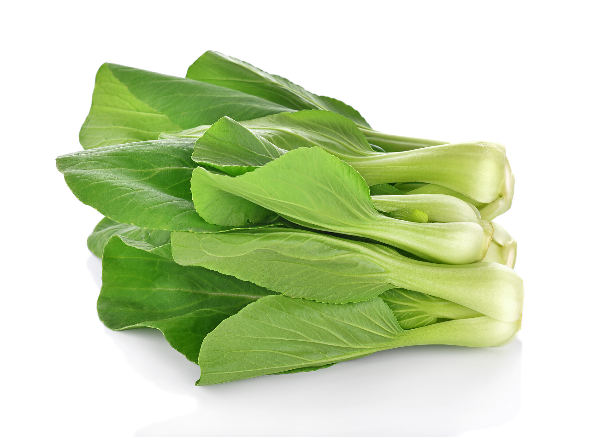 白色背景上的绿色蔬菜白色背景的Bok choy蔬菜