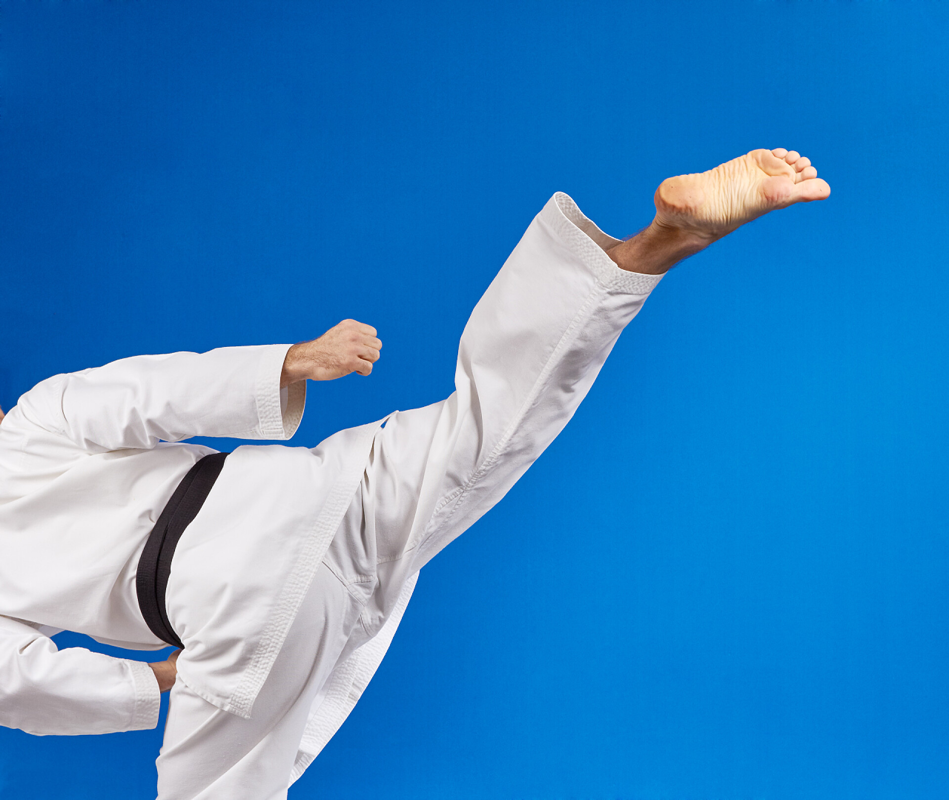 蓝色背景上踢脚的跆拳道教练回旋踢踢运动员节拍与黑带