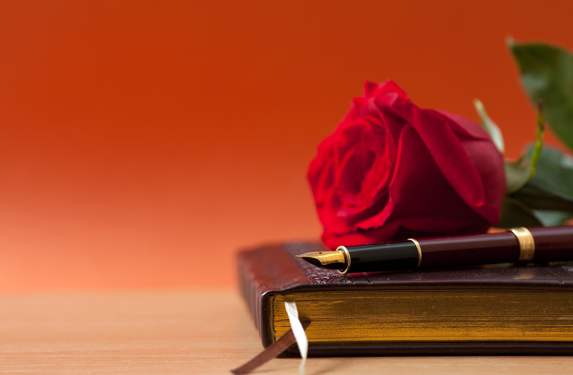 桌子上的笔记本钢笔和玫瑰花笔记本和玫瑰