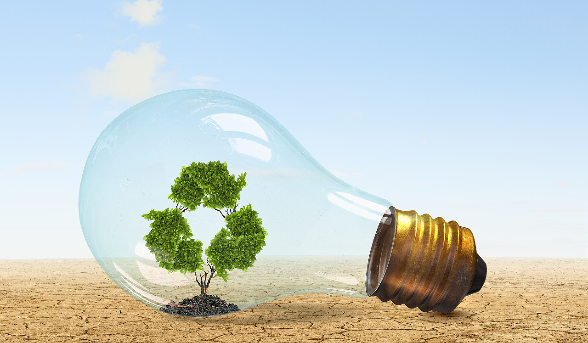 节能宣传周蓝天下枯地上长了绿树的灯泡回收的绿色概念