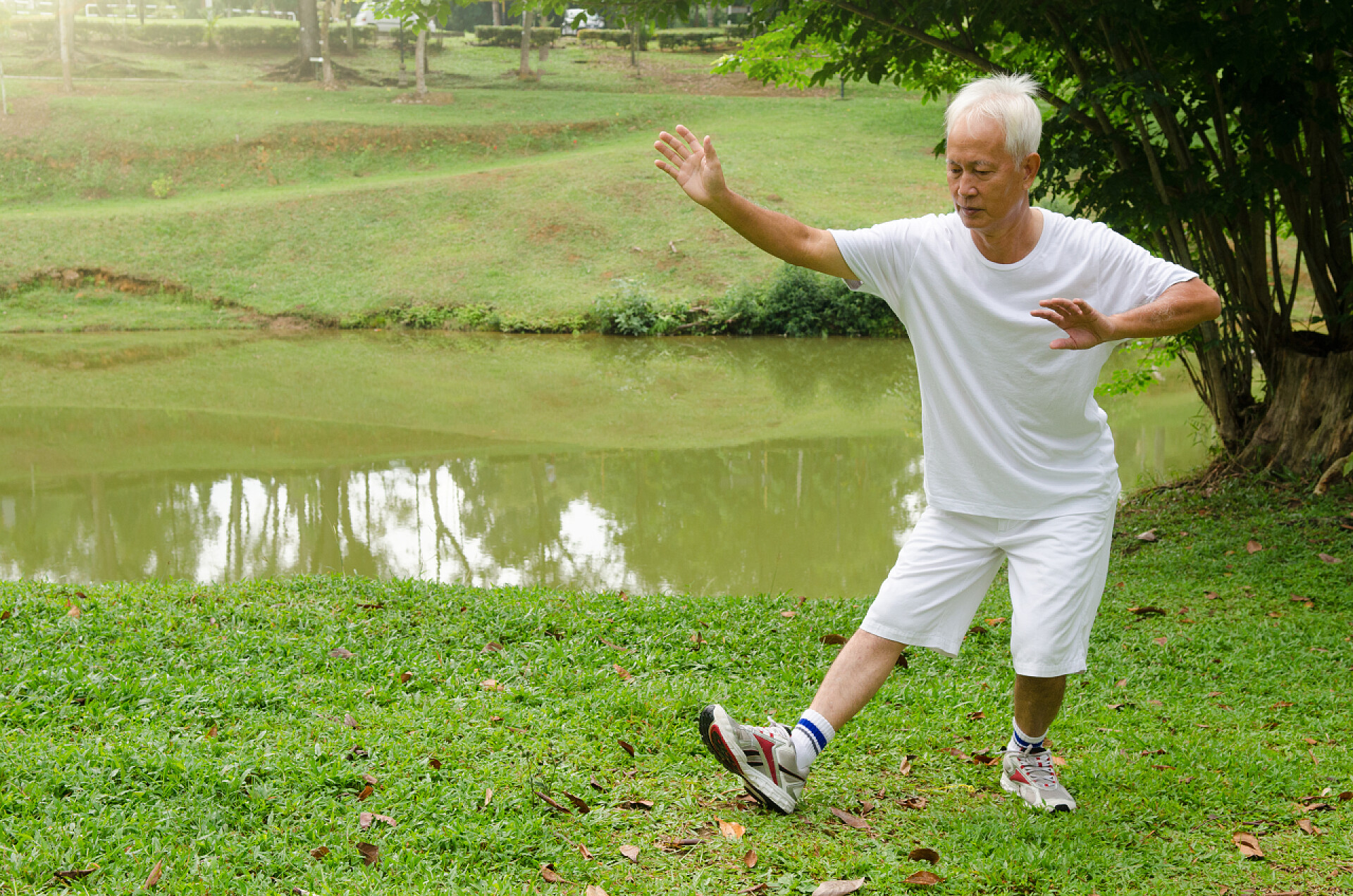 在草地上绿习太极拳亚洲人表演太极拳