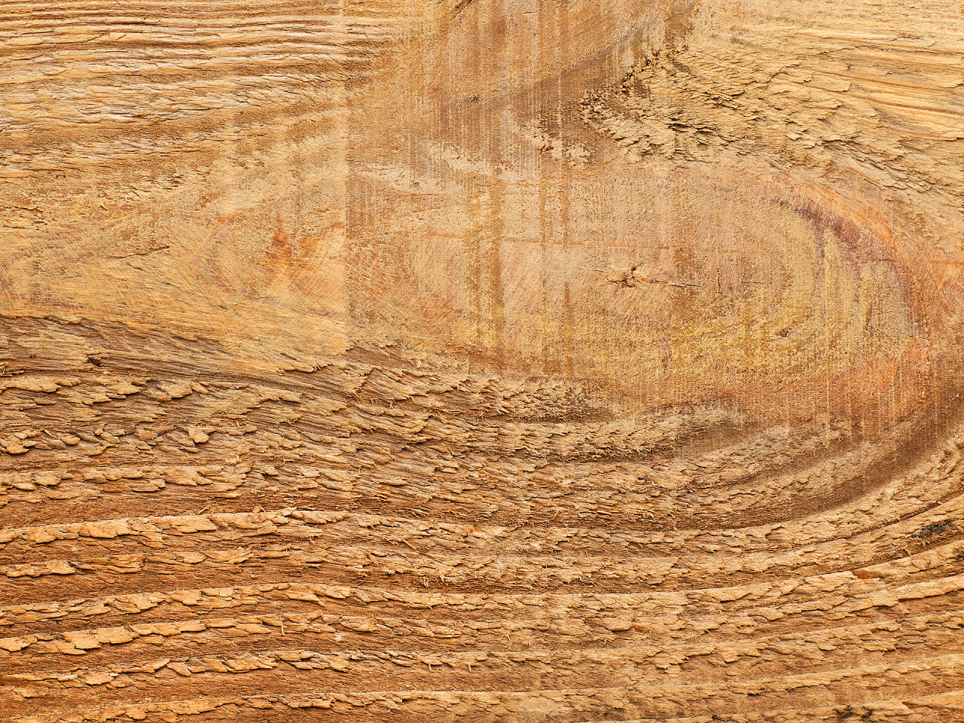 木材纹理特写背景木材纹理背景