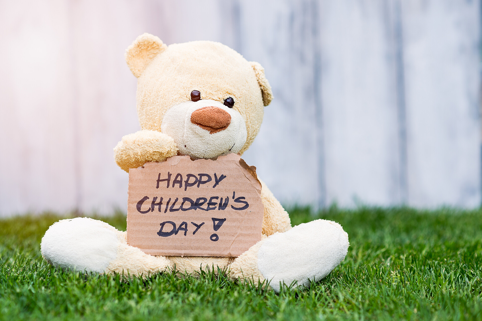 持有快乐儿童节字样的玩具熊坐在草地上儿童节快乐