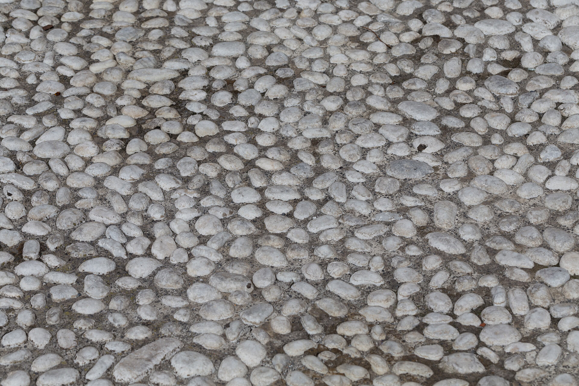 公园鹅卵石路面局部特写在地面的圆石