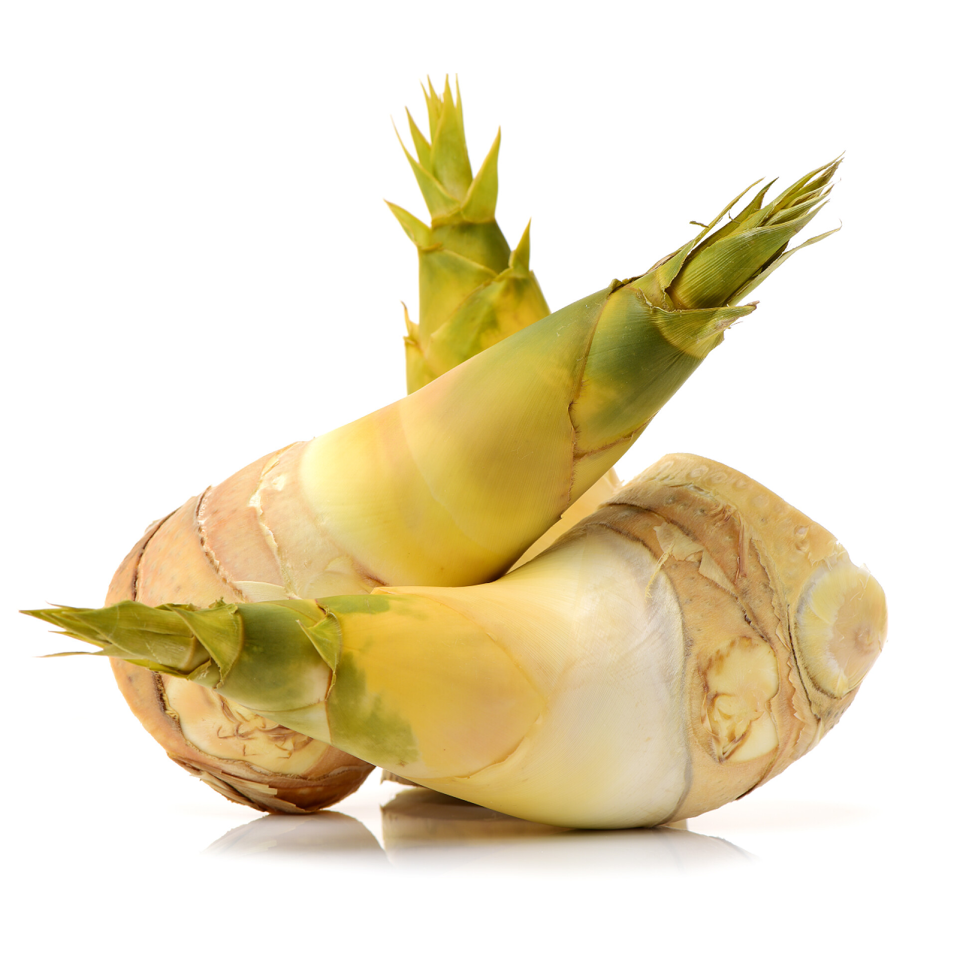 白色背景上的竹笋特写竹笋特写