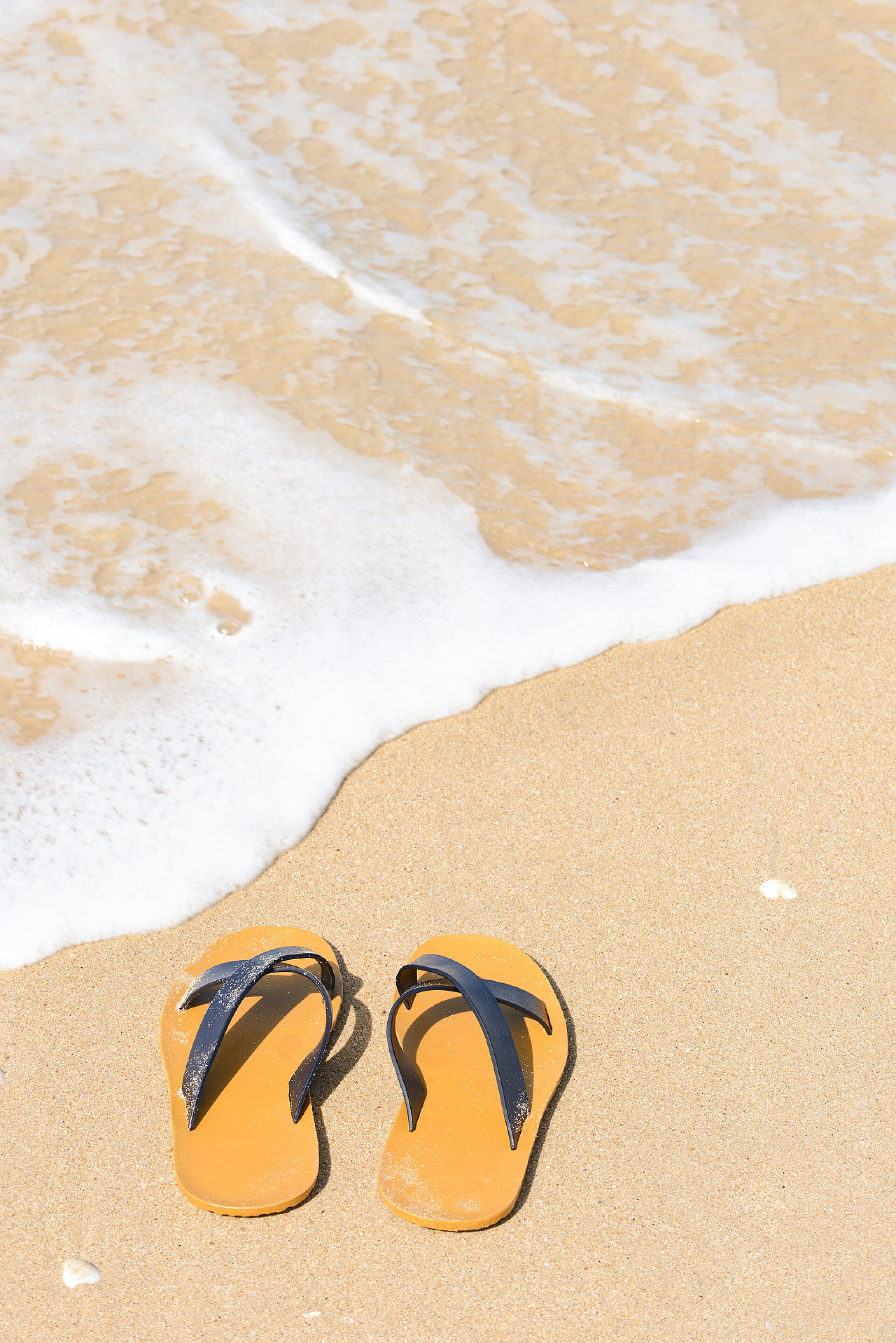 沙滩上拖鞋的特写