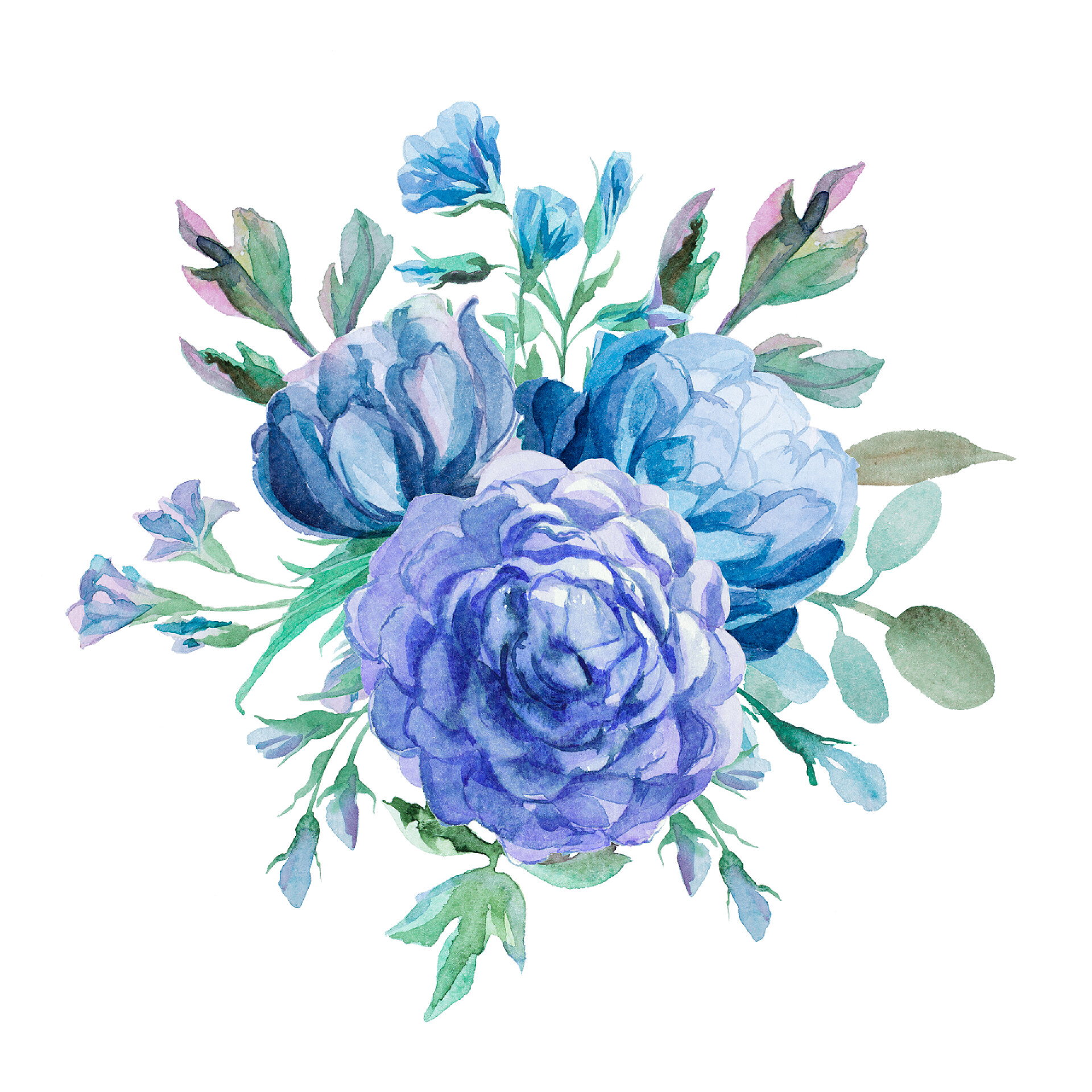 白色背景墙前的四朵小花不同的水彩花卉浪漫集合