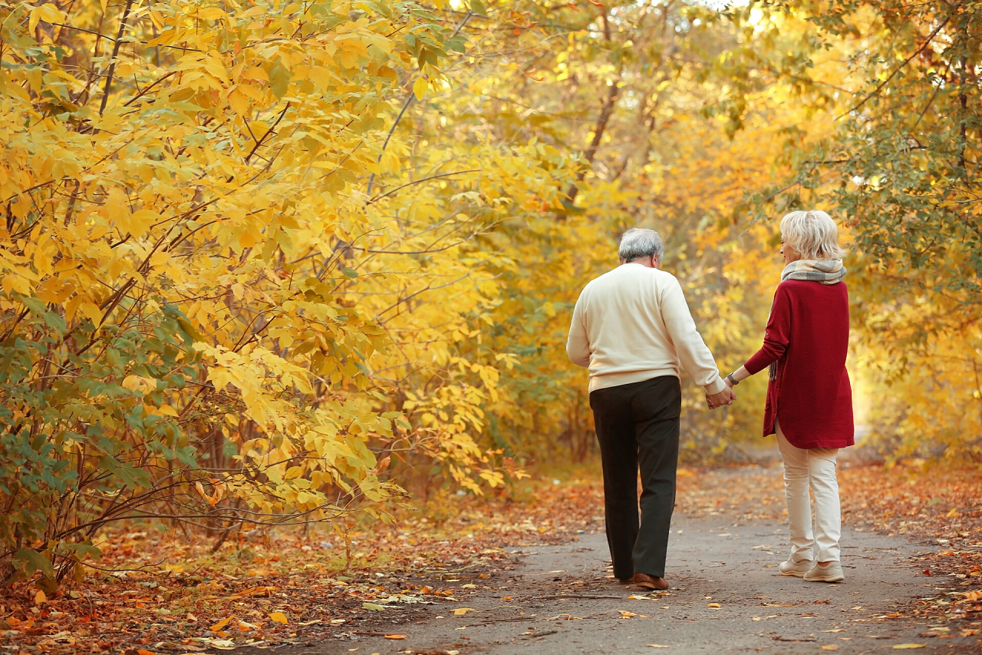 在秋天的路上有两位老年人在散步在秋天森林散步的老夫妇. 