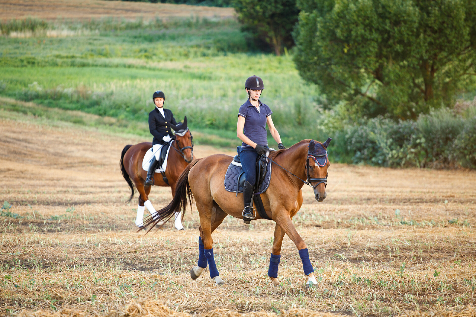骑着马的赛跑的女子年轻的姑娘骑着一匹马