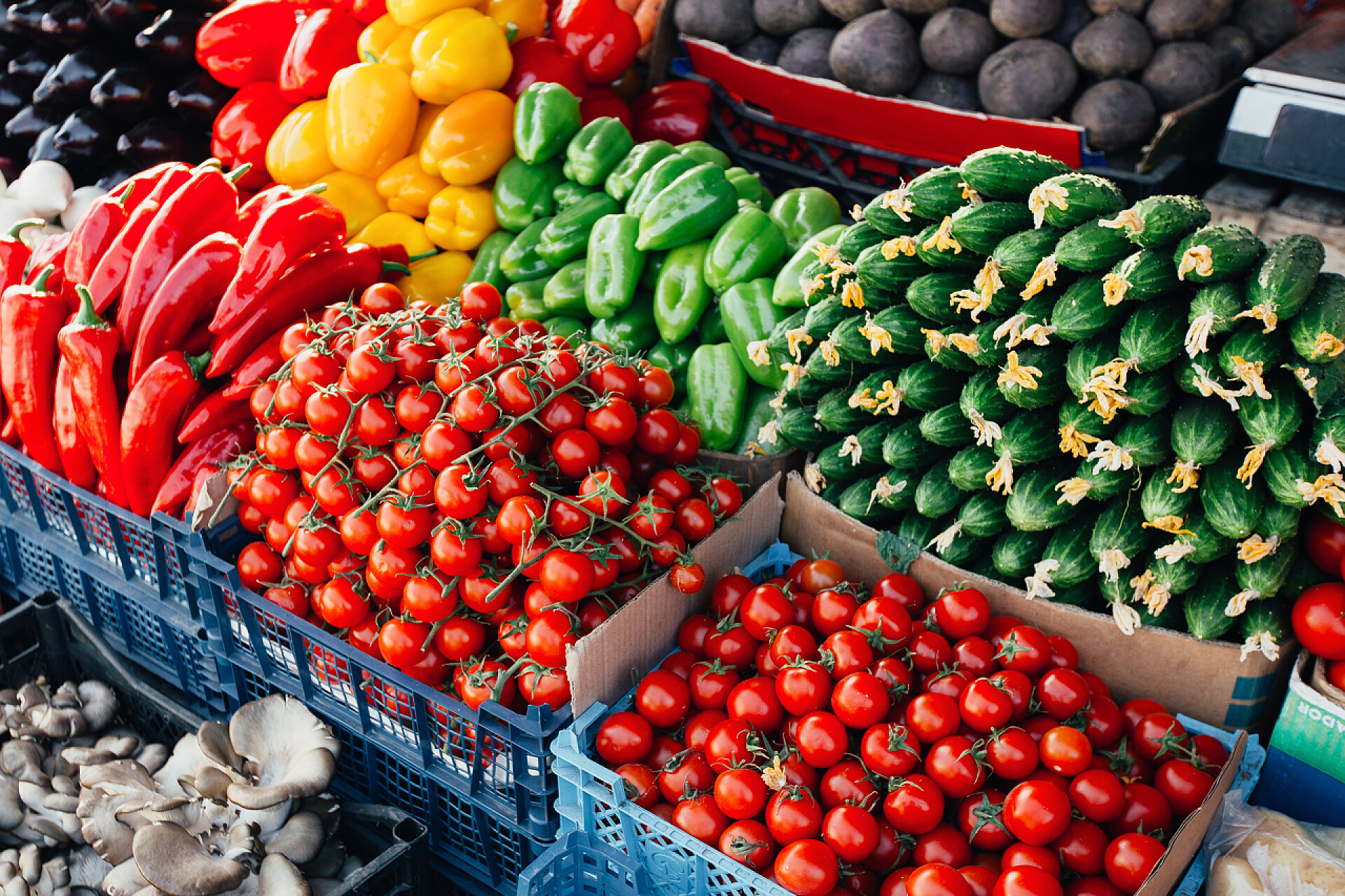 蔬菜市场摆满了各种各样的新鲜蔬菜市面上新鲜蔬菜供应