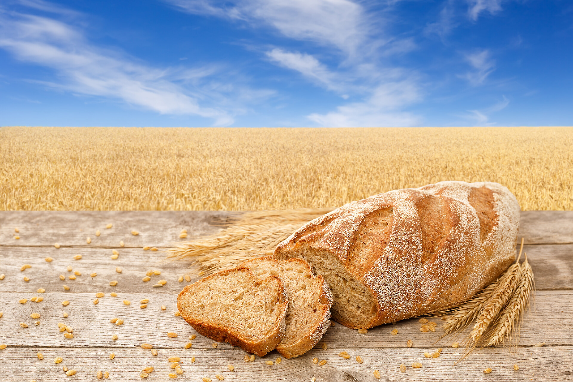 金色的麦田和桌上的面包片在领域背景切片面包