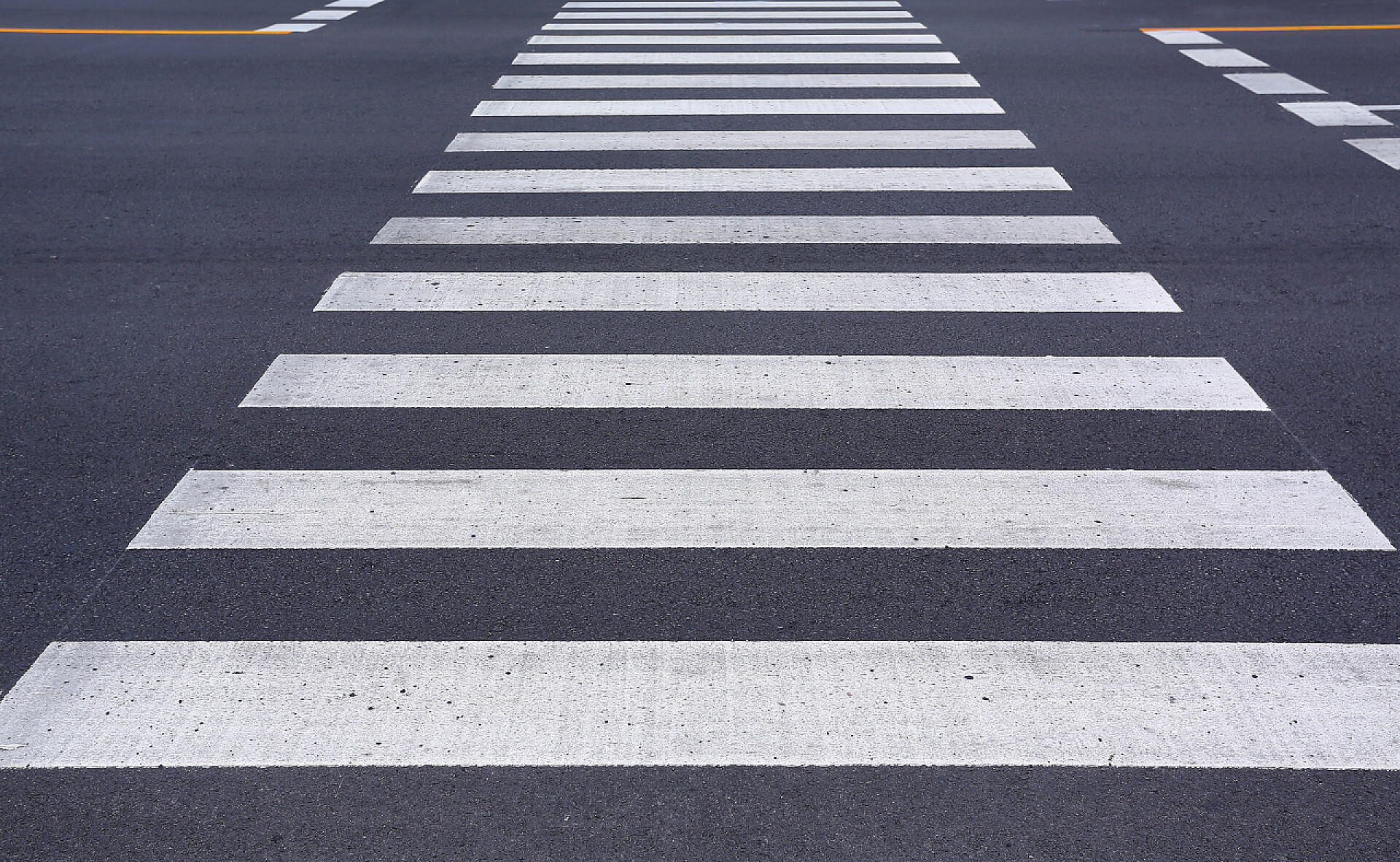 道路上的斑马线斑马在路上交叉