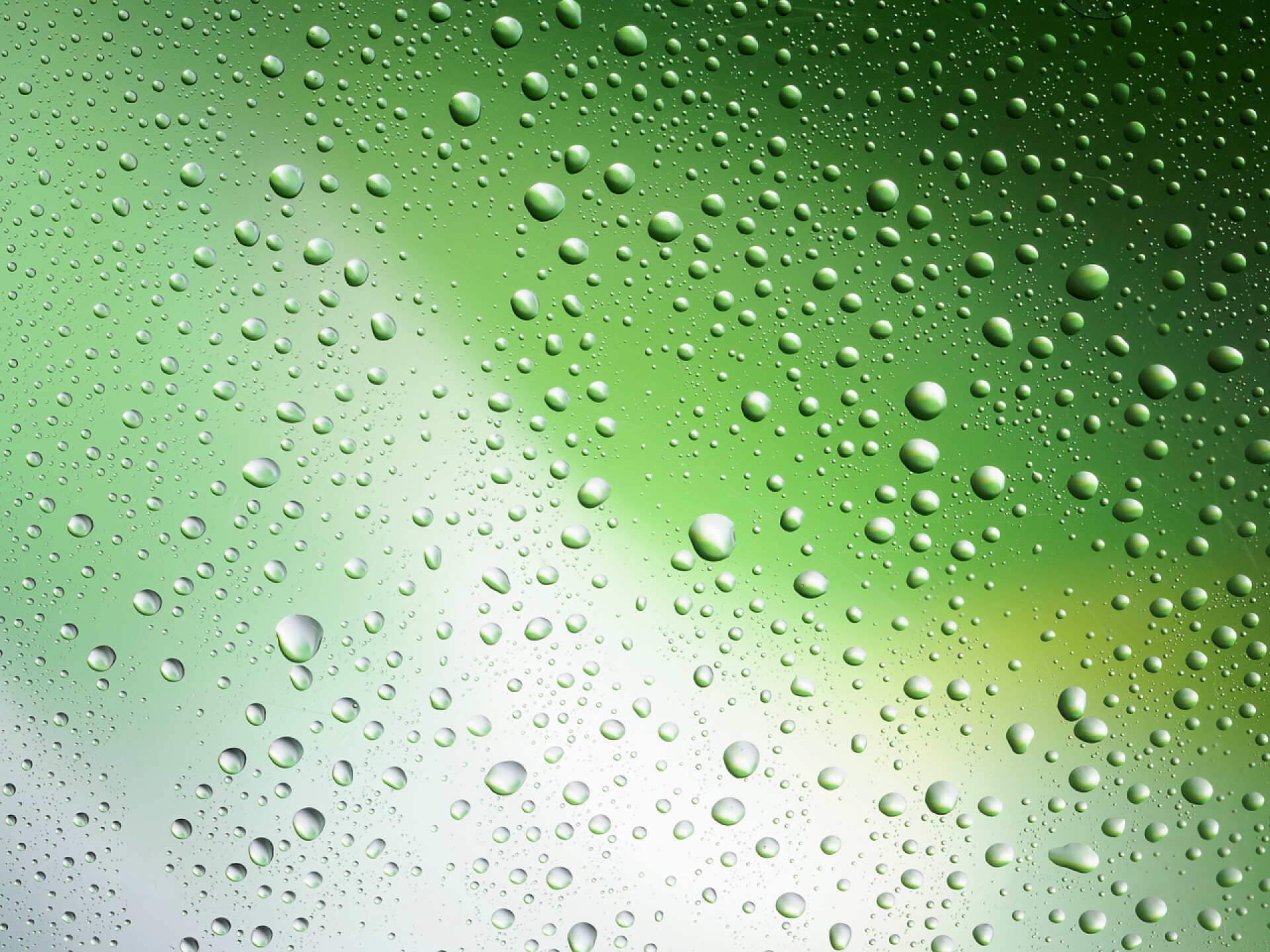 绿色背景上的水珠水珠玻璃空间颜色背景雨虹.