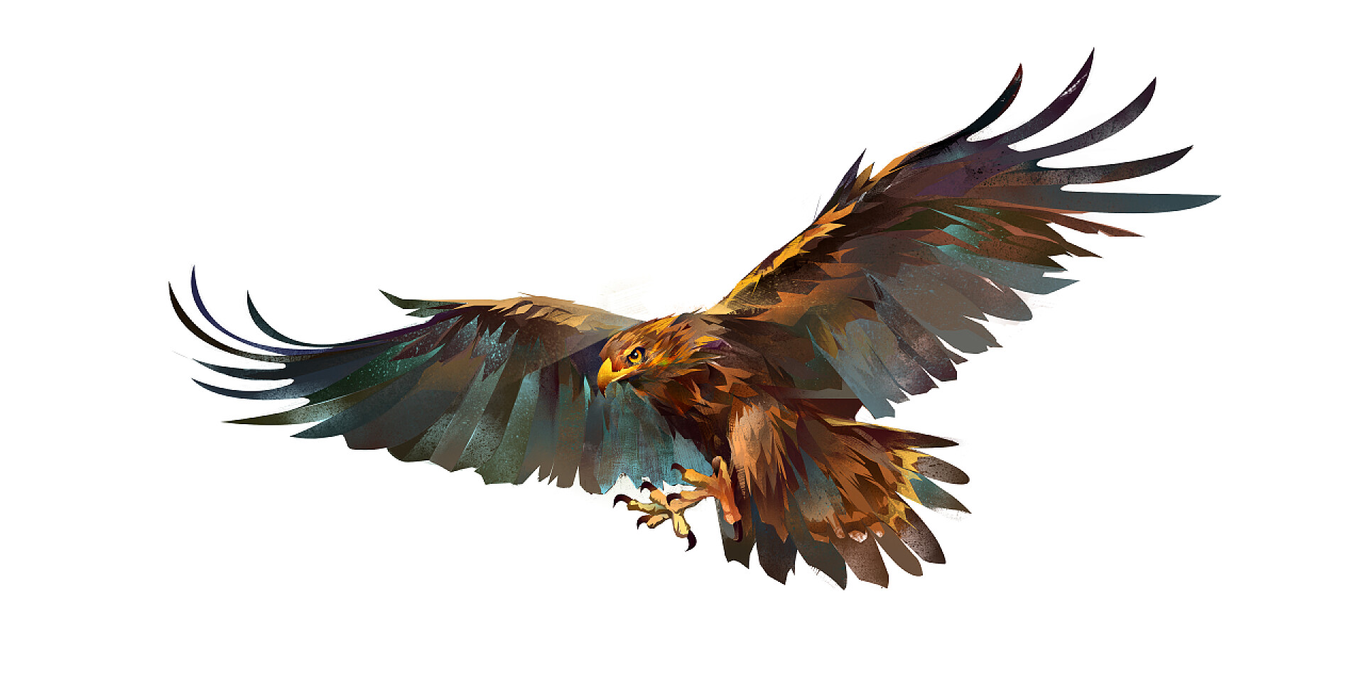 白色下展翅翱翔的老鹰