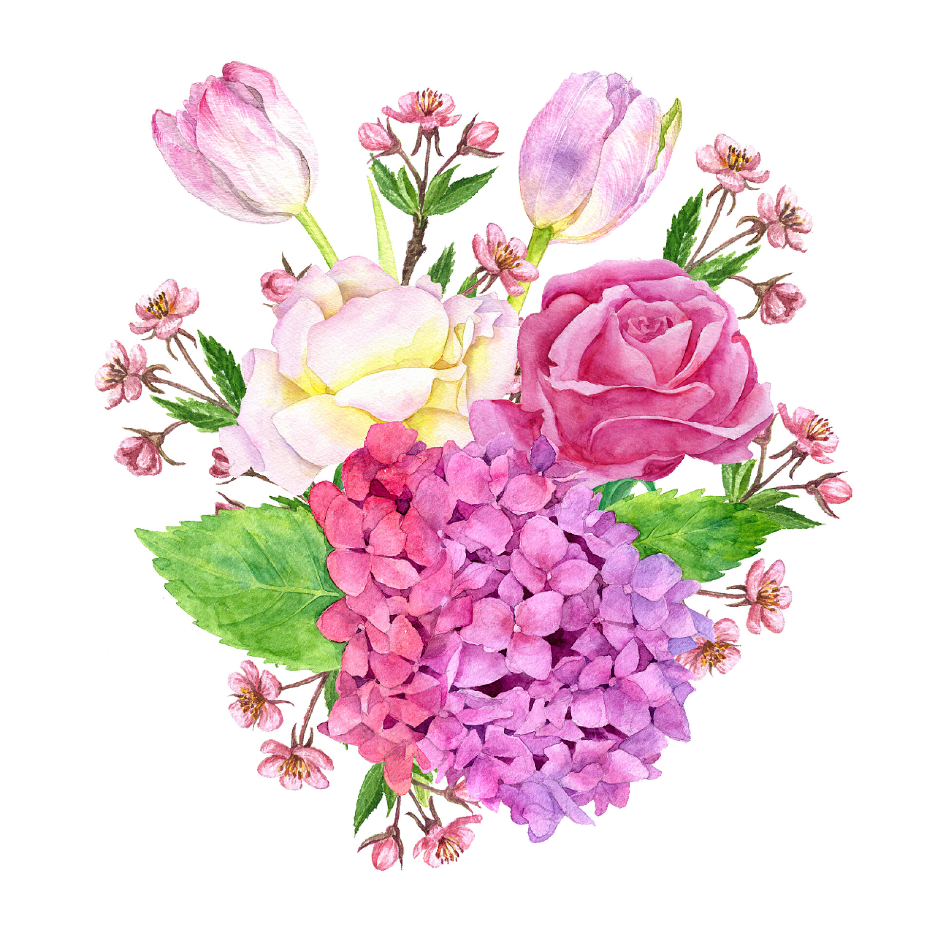 白色纸上用水彩绘画出的花卉水彩花向