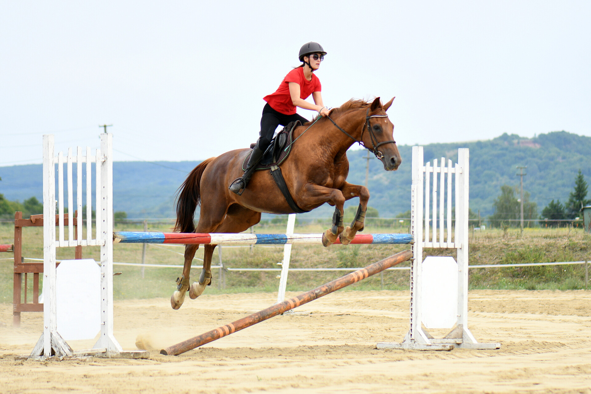 女子骑着马跨越障碍物对她的马女骑师 