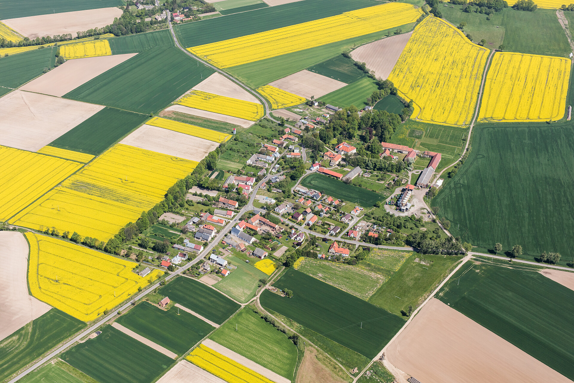 村庄里的建筑群和田野无人机航拍图在村庄附近的黄色收获领域