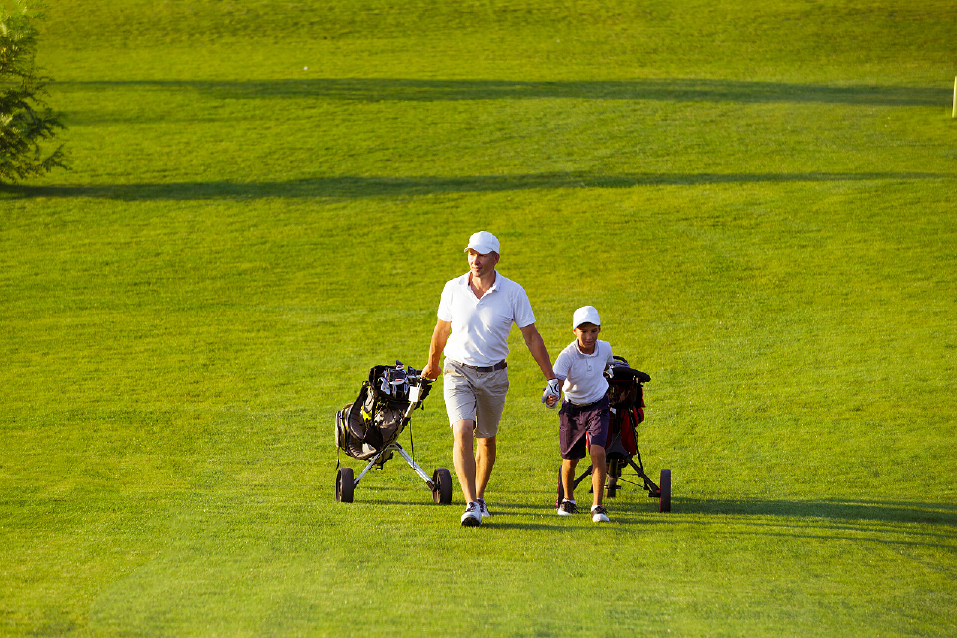 绿色草坪上的一对父子在行走行走在球场上他儿子高尔夫球手的人