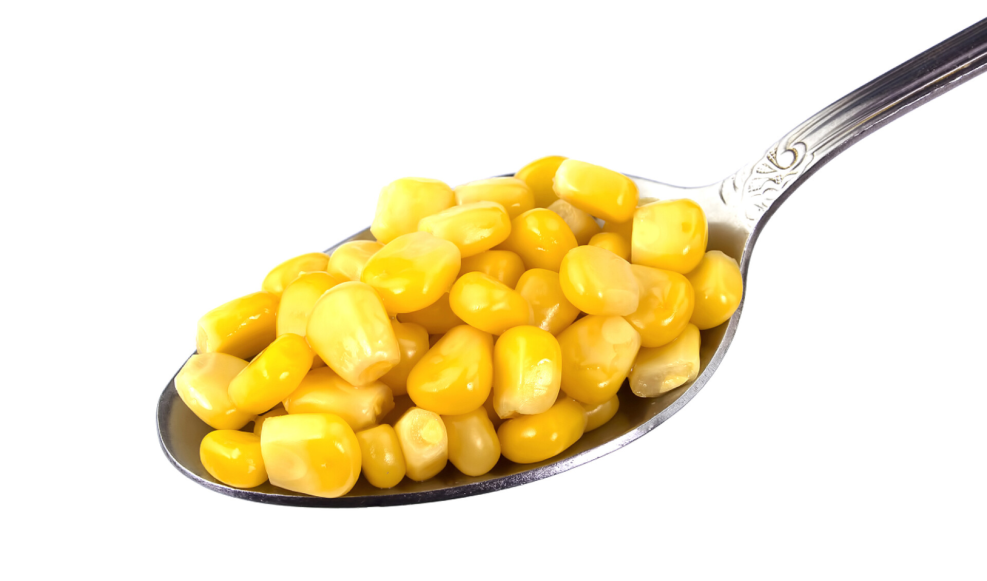 白色背景前的一勺玉米粒用勺子填充玉米, 在白色背景下隔离
