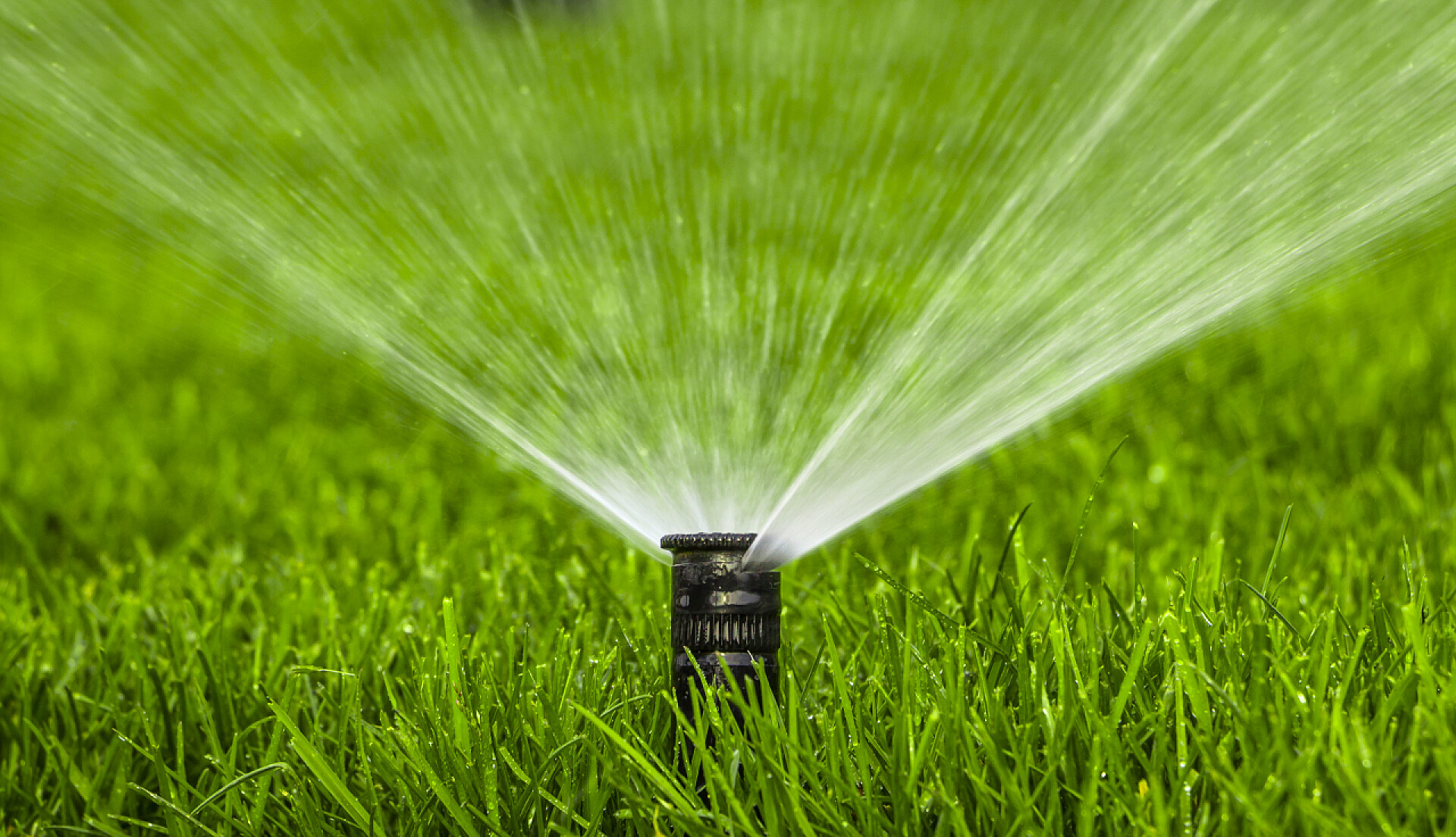 绿色草坪上的喷水阀自动洒水系统在绿草的背景上浇灌草坪