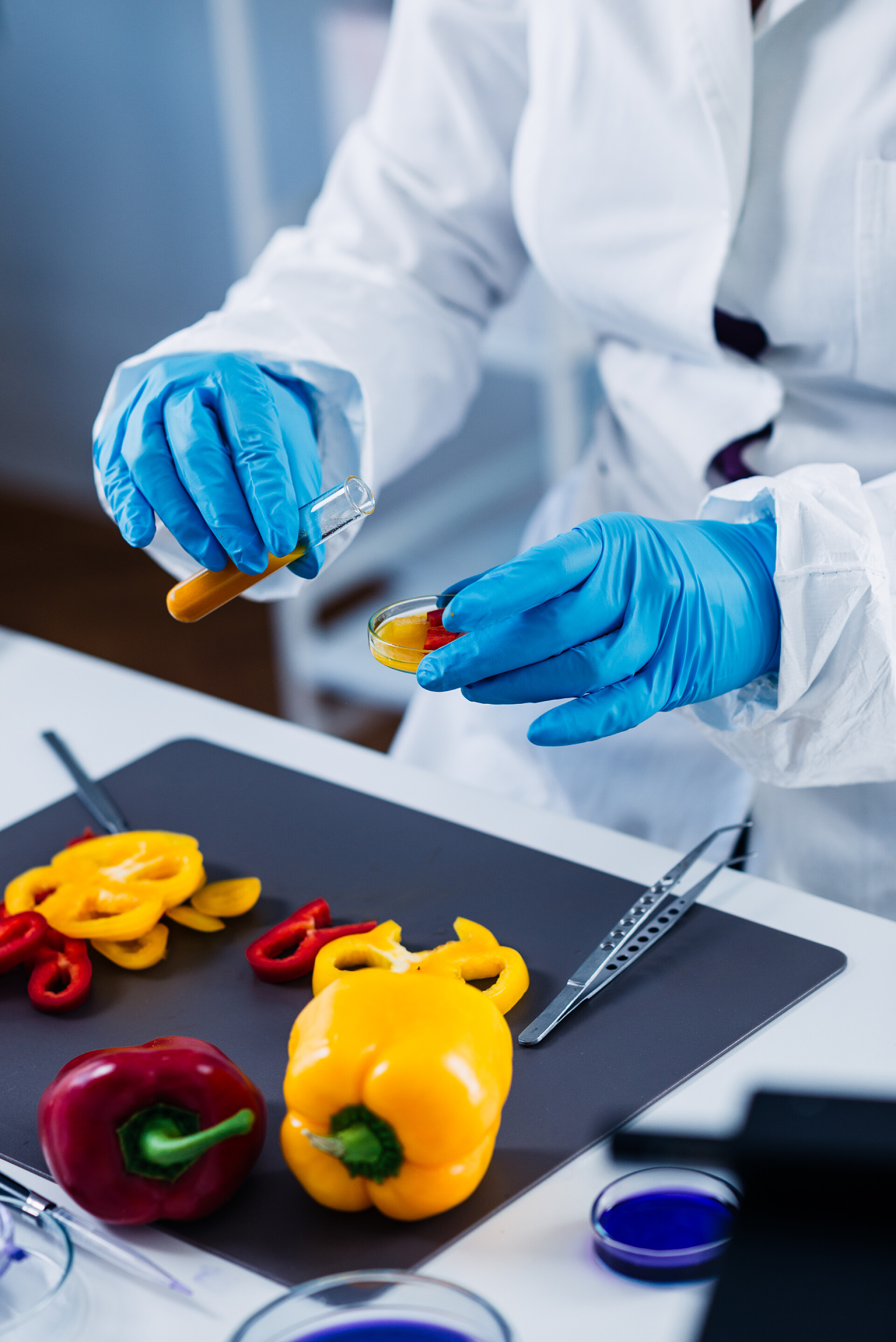 实验室内研究彩椒质量控制食品安全检验员在实验室工作