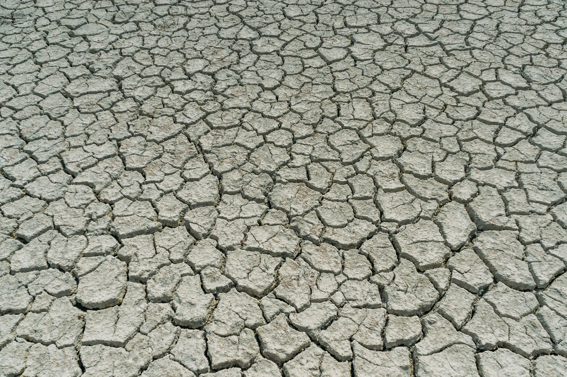 大块裂纹的地面裂缝
