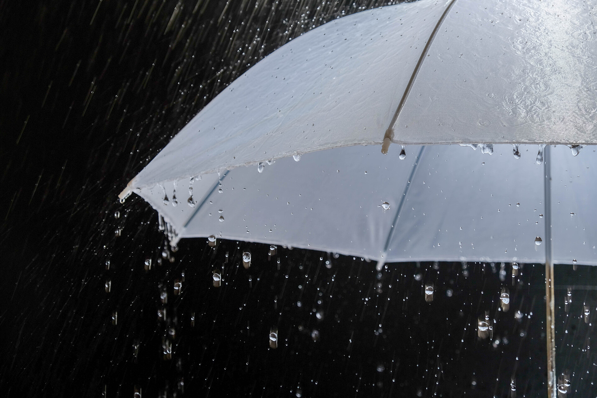 黑色背景下的白色雨伞在防雨湿保护伞在暴风雨天气与自然雷暴, 在黑色背景,