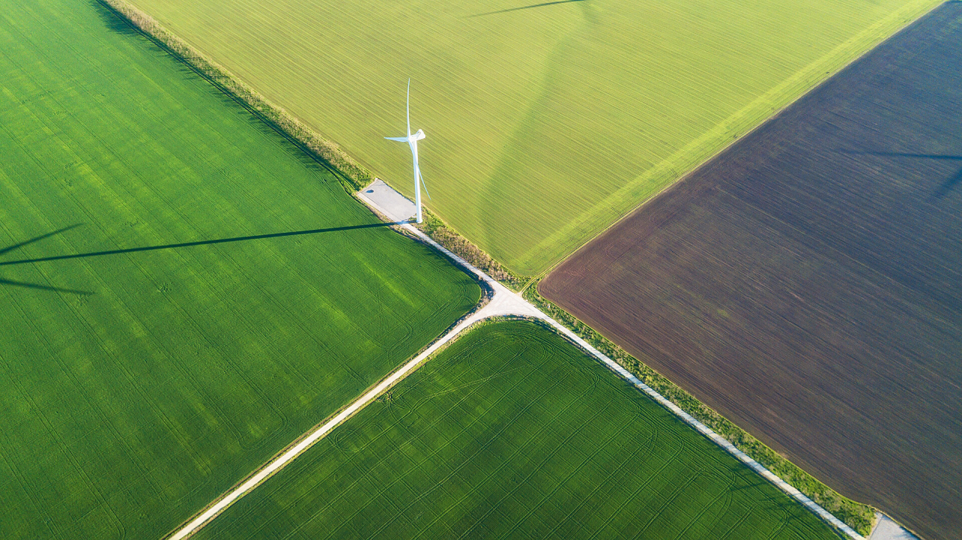从上往下看的四块不同颜色的草坪和白色风车发电机风电站在绿色领域。替代能源发展的概念与理念