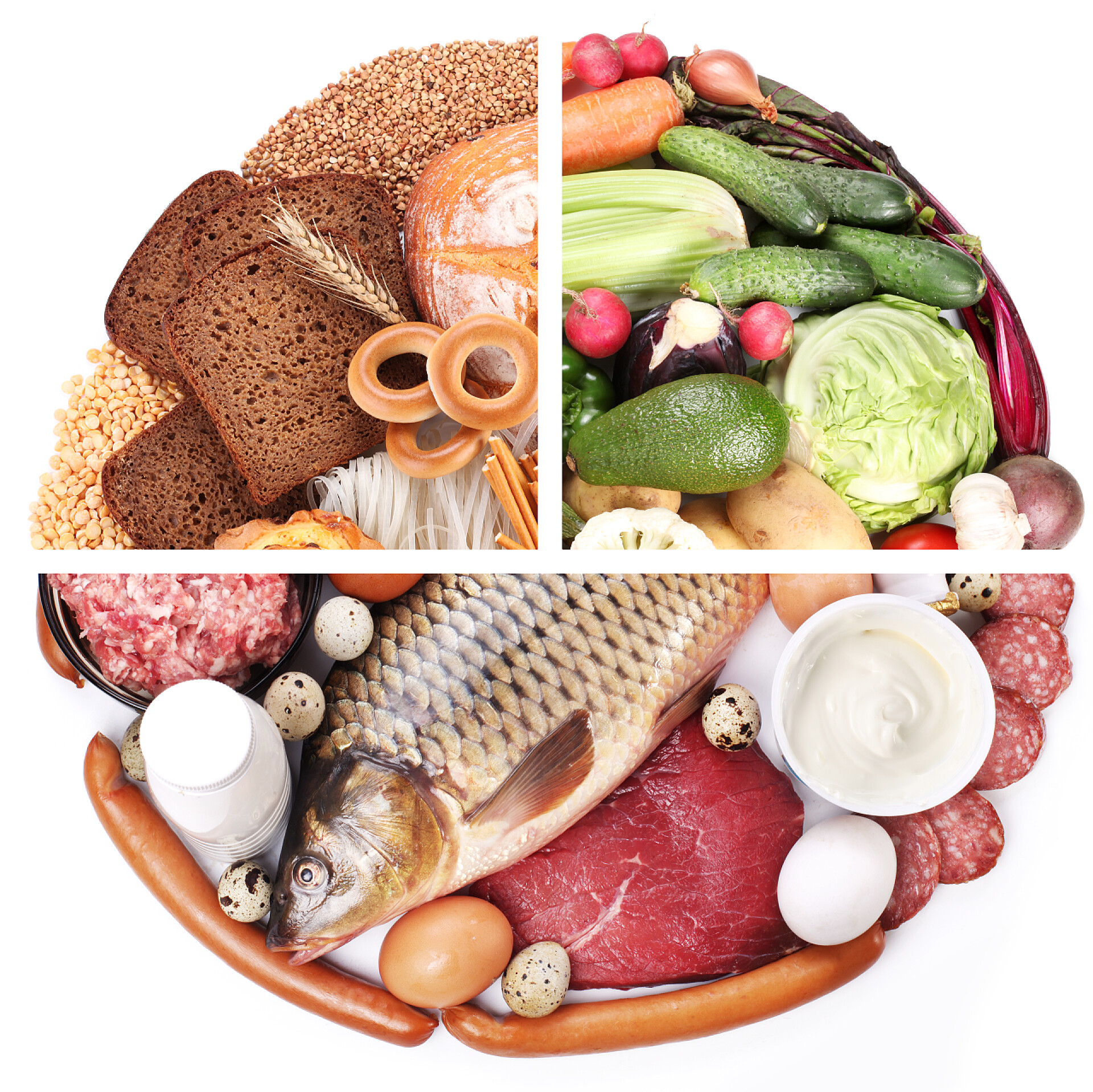 白色桌子上的各种营养均衡的食物食物金字塔或饮食金字塔图提供基本的食物组