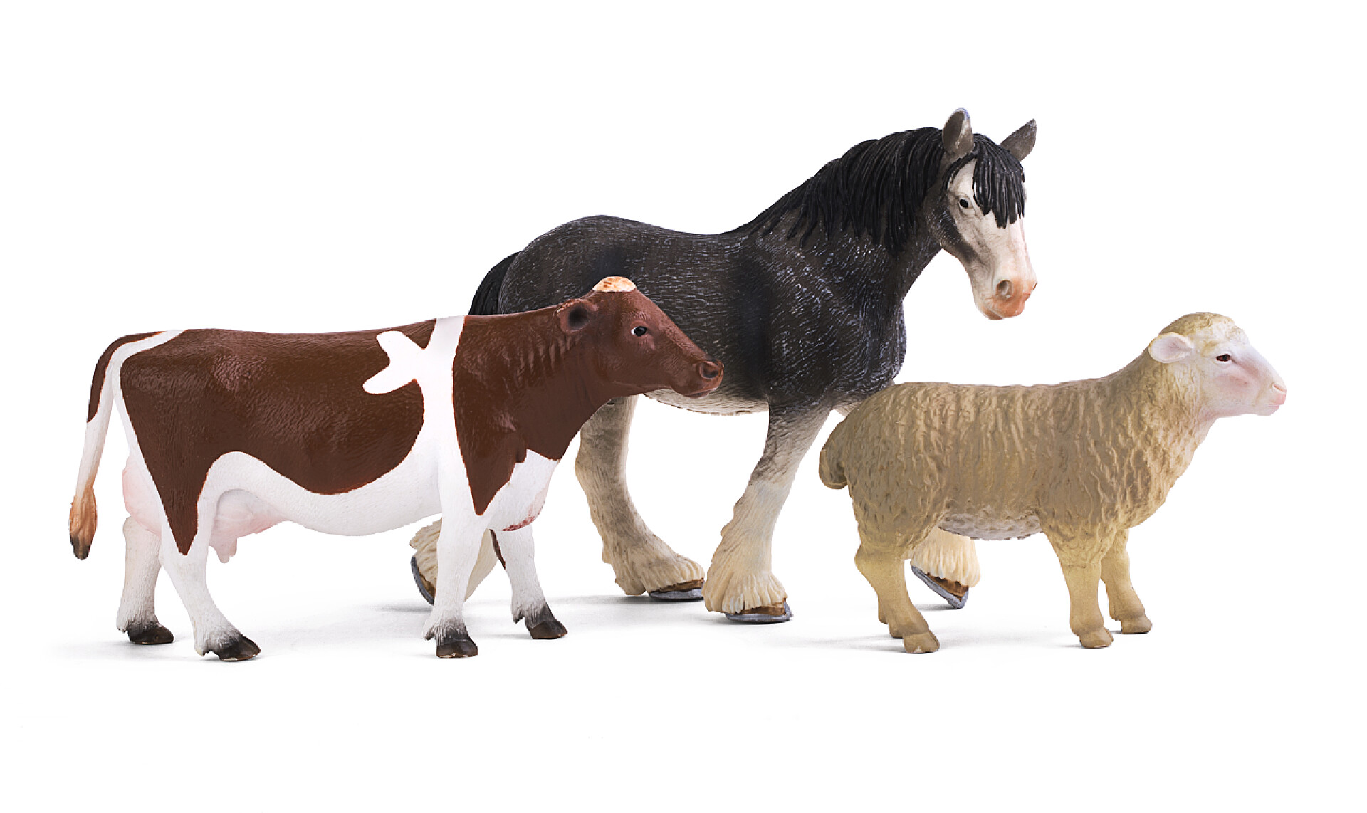 白色背景下几匹大型动物塑料玩具模型绵羊, 母牛和马被隔绝在白色背景上