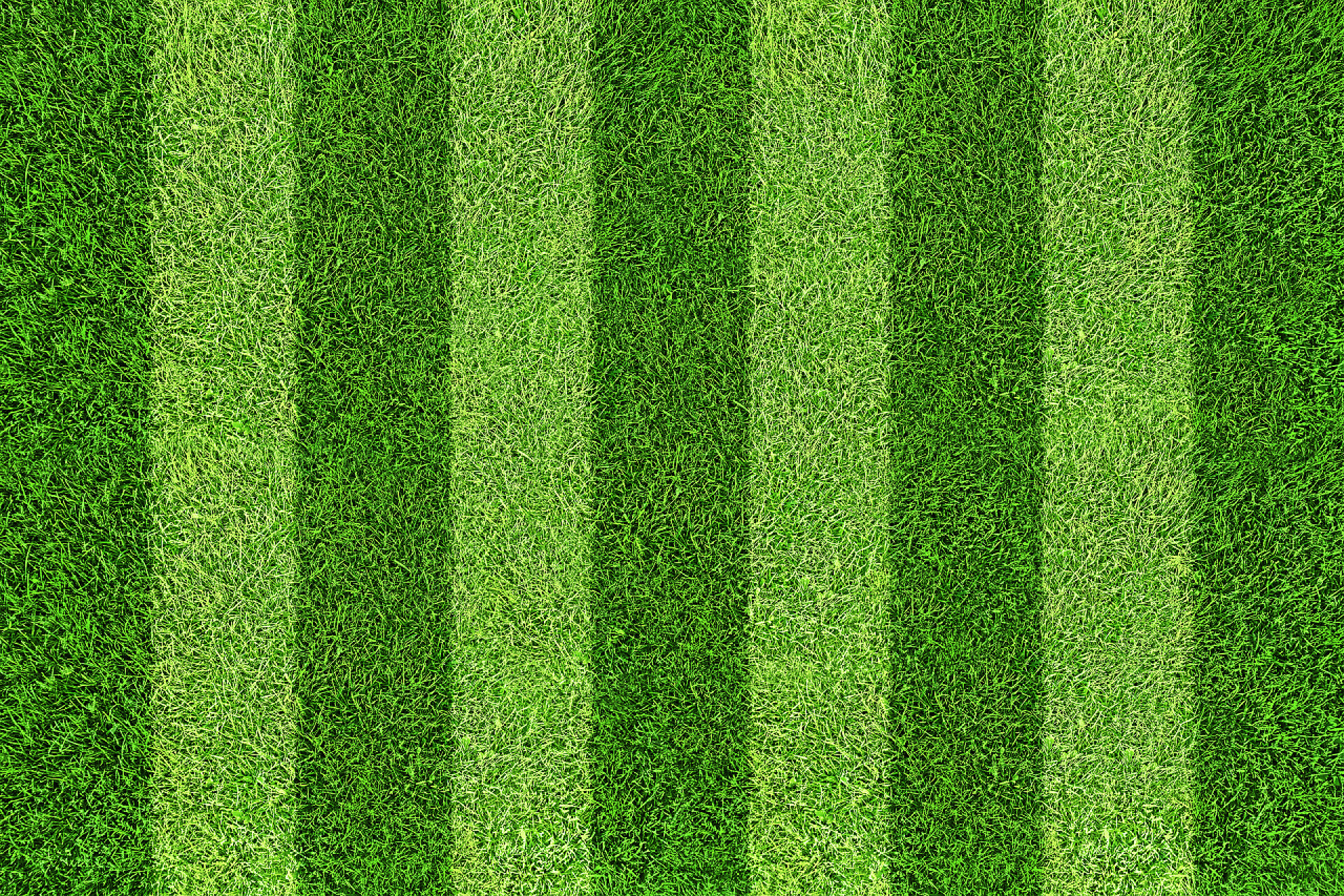 深浅不一的绿色草坪绿色的足球场的背景。顶视图