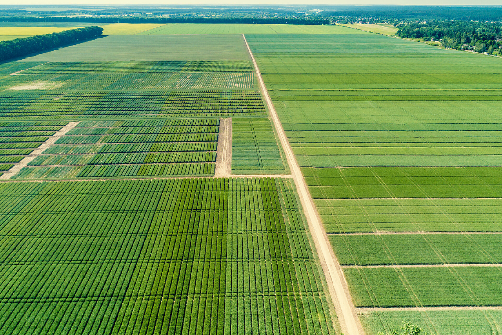 从上俯瞰的绿色草坪几何绿场的鸟瞰图