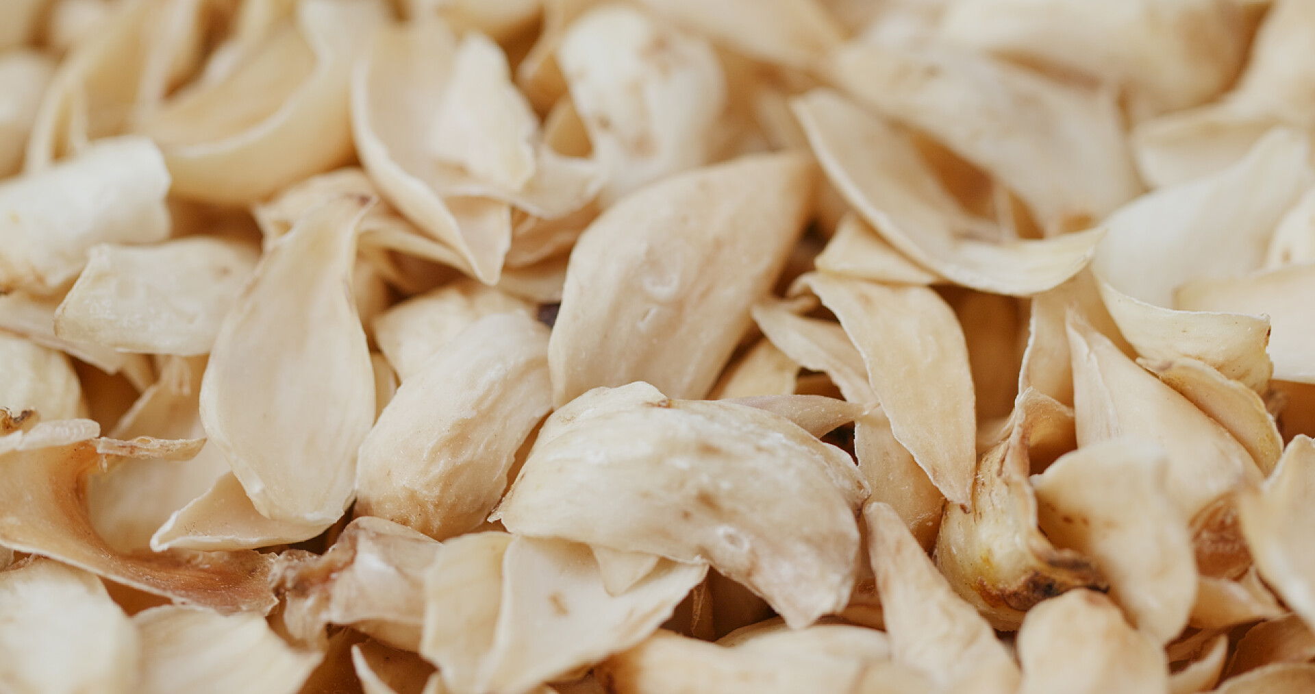 一堆百合片中国干百合鳞茎