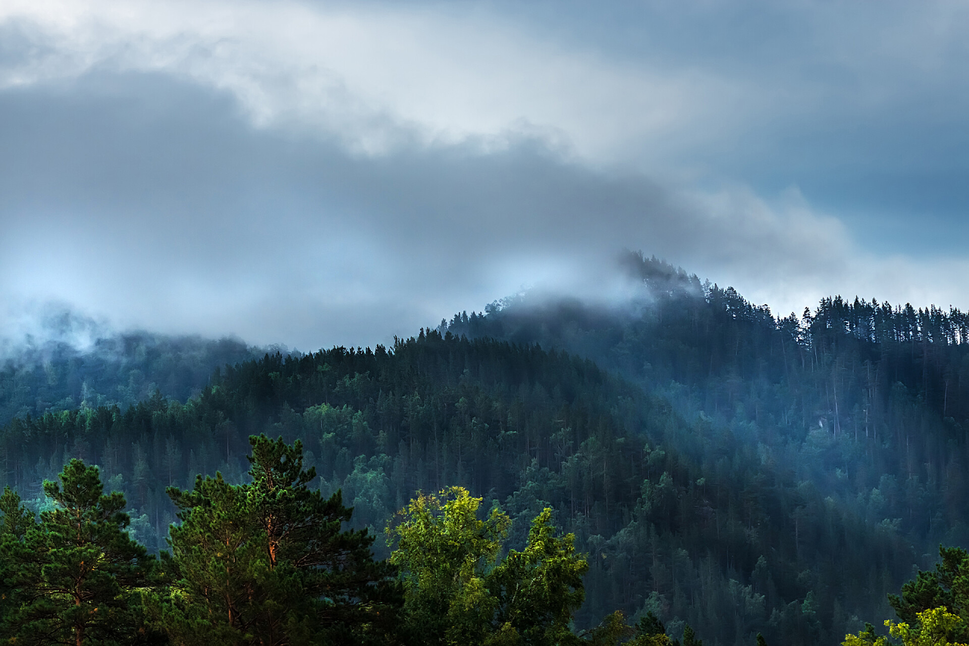 乌云下的山峰在山顶上形成了雾, 上面覆盖着深色针叶林。阿尔泰山, Katun 河地区, 西伯利亚南部, 俄罗斯