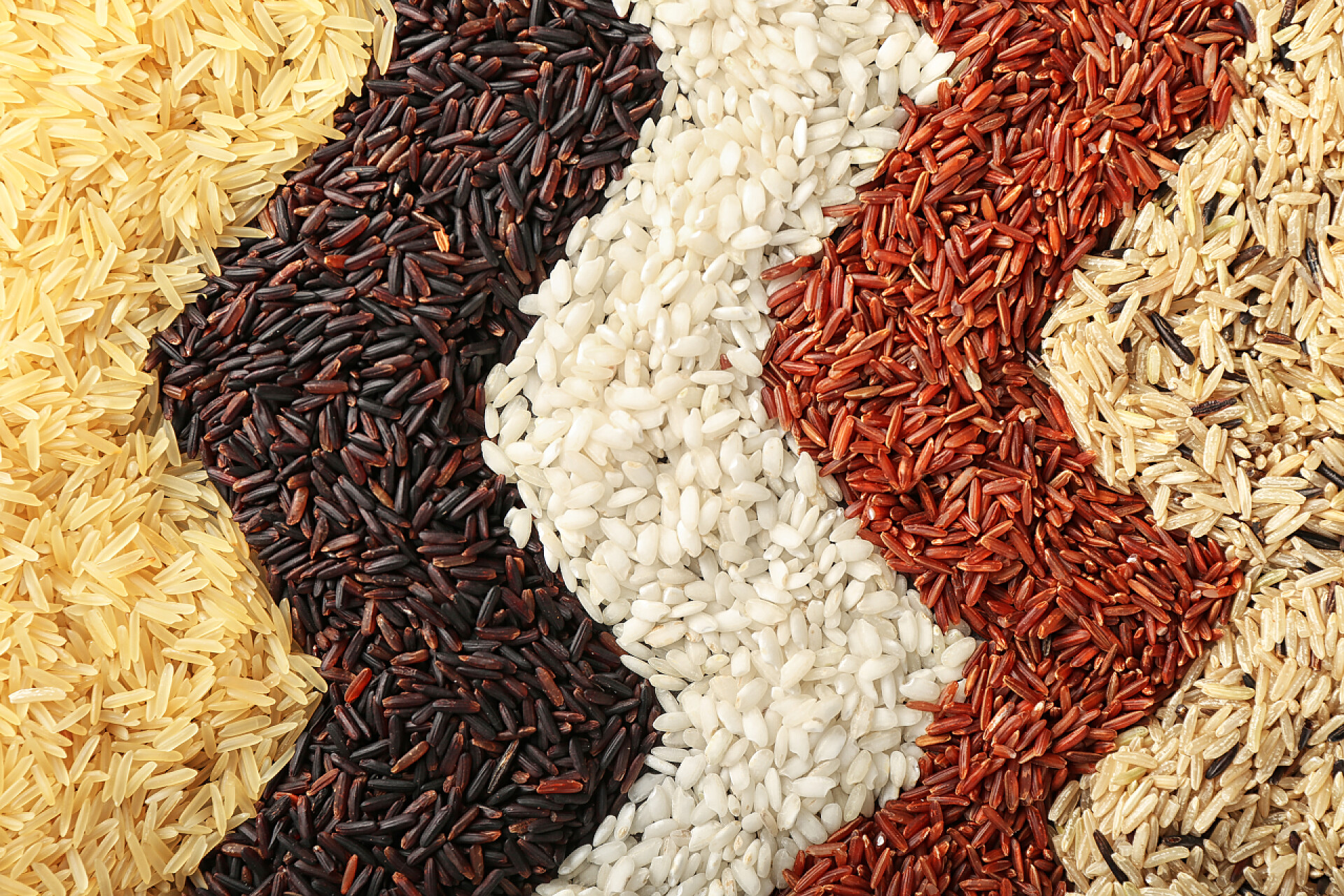 桌子上的五种不同的米不同类型的大米为背景, 特写