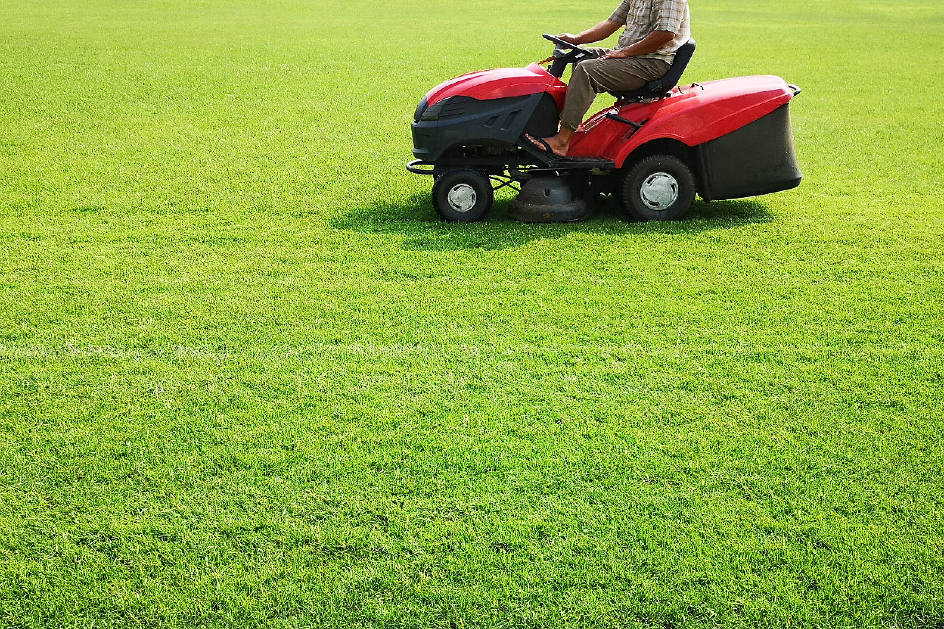 草坪上开着小车的人刀具在院子里