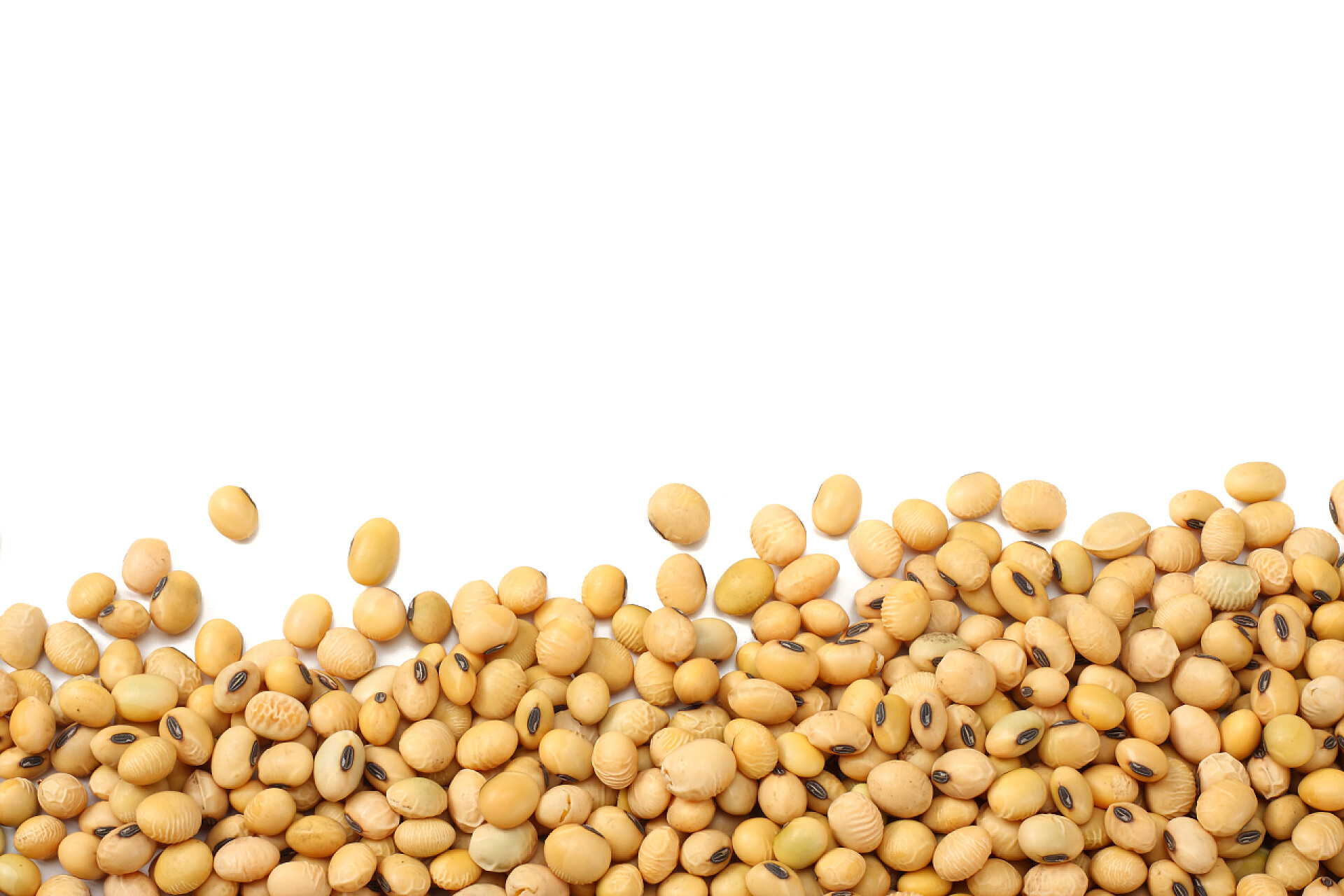 白色桌子上的黄豆在白色背景查出的大豆。顶部视图