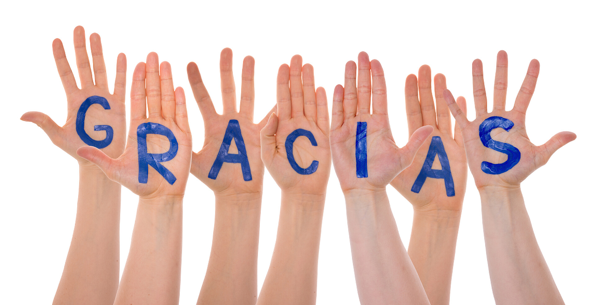 白色背景下七只手上的蓝色英文字母许多手建设谢谢意味着感谢你, 孤立