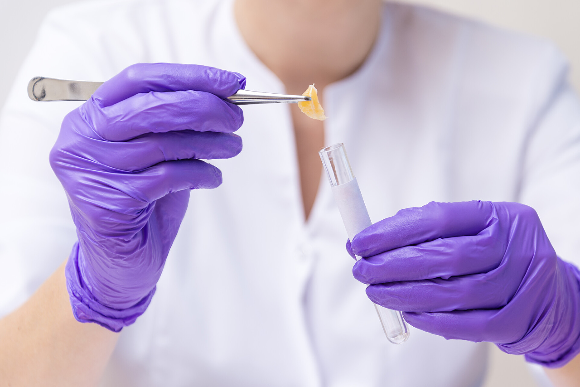 一个戴着紫色手套的实验员在做实验妇女收集水果样本进行实验室测试, 食品安全