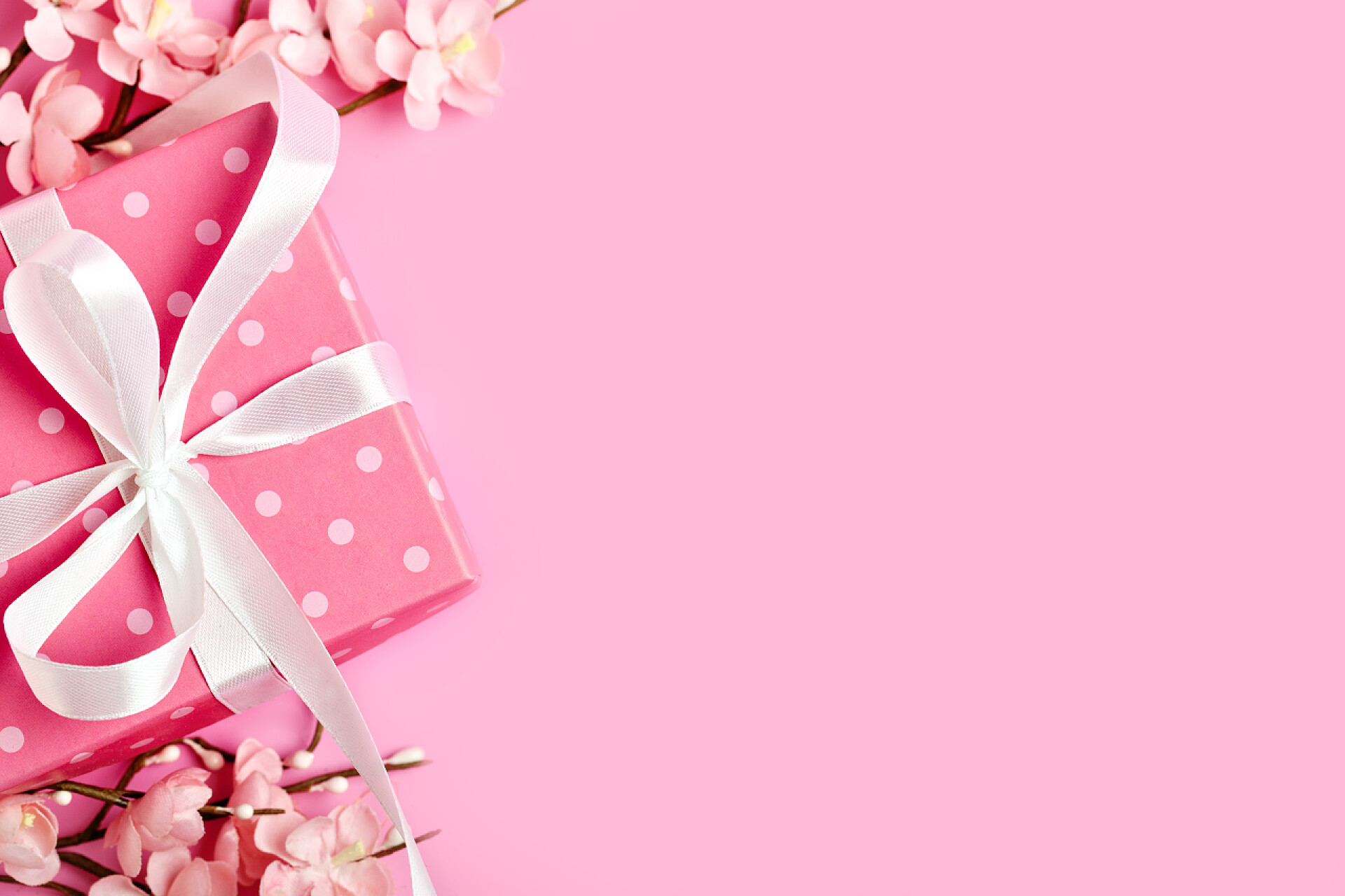 在粉色的背景上有着几朵美丽的花和一个粉红色的礼盒在粉红色的背景上的贺卡。选择性对焦。情人节, 女人节, 母亲节。带复制空间的背景。水平.