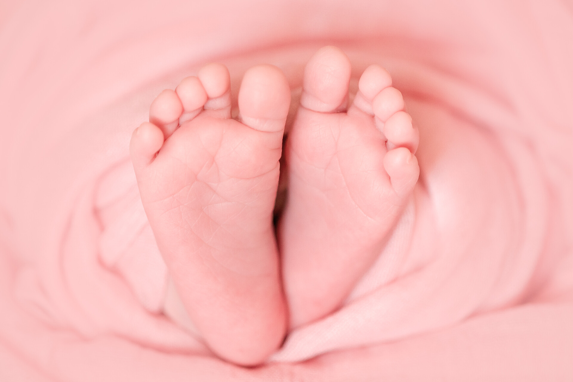 在粉红色的背景下一双婴儿的小脚与小脚趾裹在粉红色的纸尿裤，投标新生婴儿脚宏