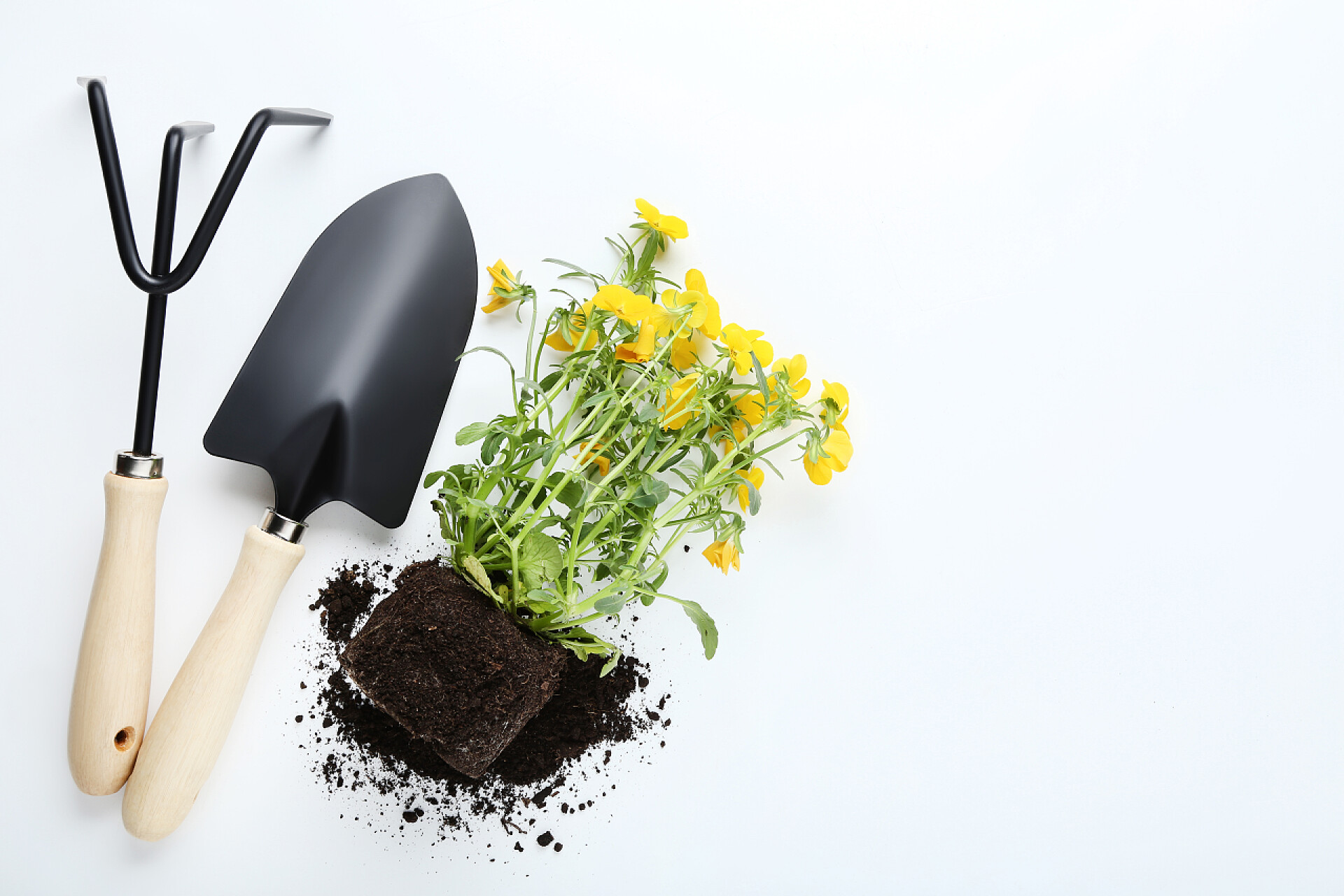 白色的背景墙前有着种植的工具白色背景的园艺工具和黄色花朵