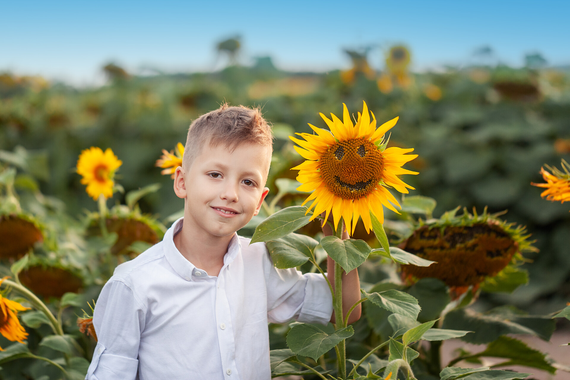 蓝天下的向日葵和可爱的男孩子夏天向日葵田的向日葵肖像可爱的孩子。孩子们的快乐概念